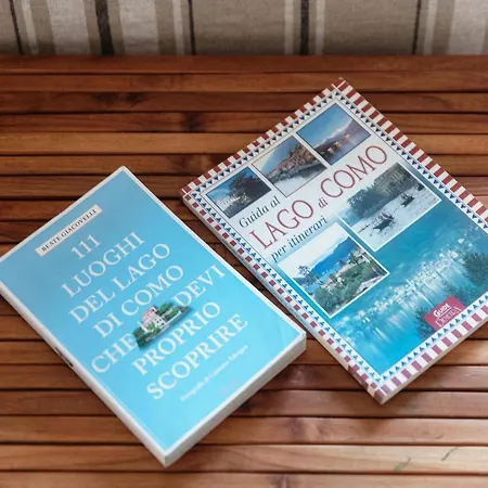 Joivy Stylish 52 科莫